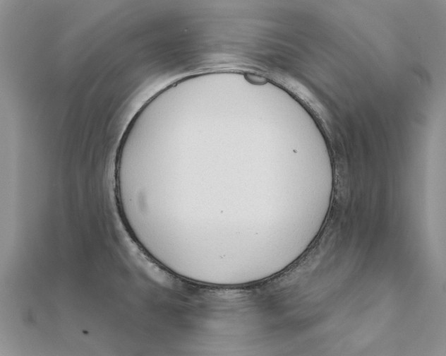 X0000111381431200908071226