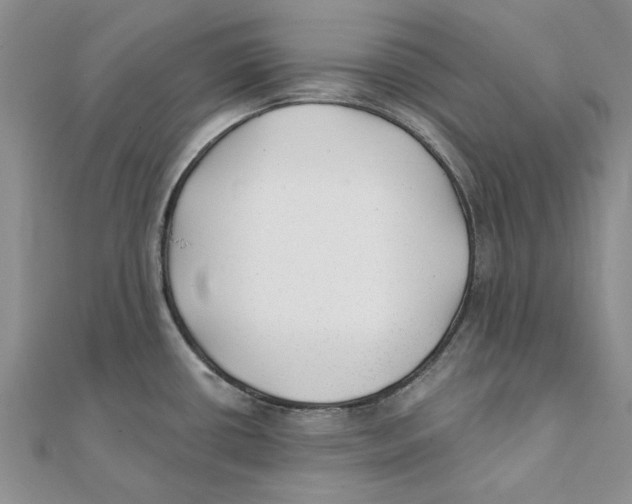 X0000111381434200908071226