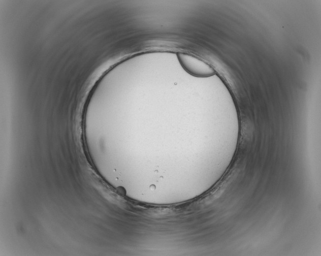 X0000111381435200908071226