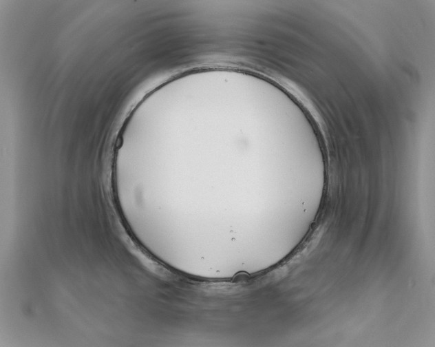 X0000111381437200908071226