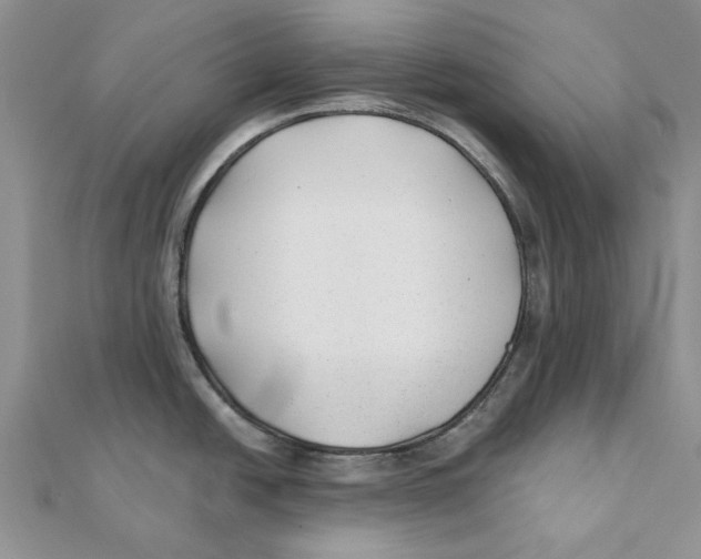 X0000111381438200908071226