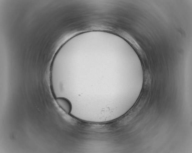 X0000111381439200908071226