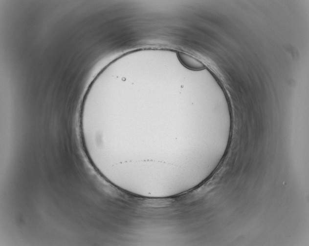 X0000111381440200908071226