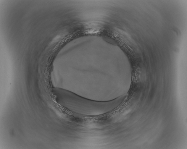 X0000111381441200908071225