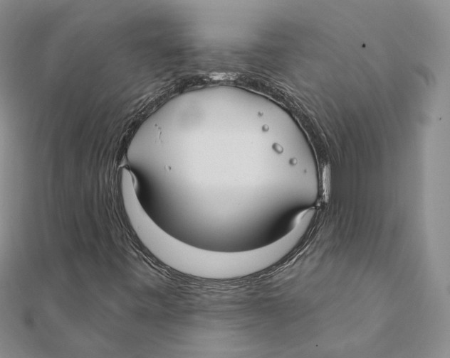 X0000111381443200908071225