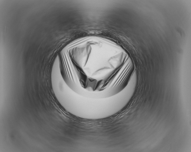 X0000111381444200908071225