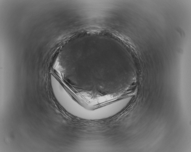 X0000111381445200908071225