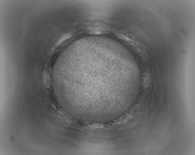 X0000111381446200908071225