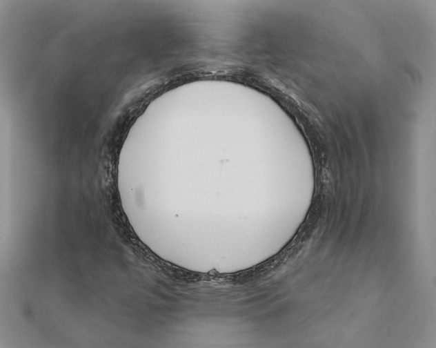 X0000111381447200908071225