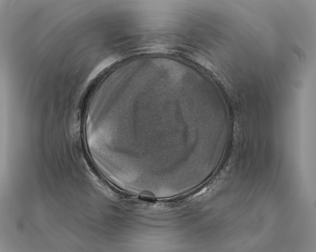 X0000111381450200908071225