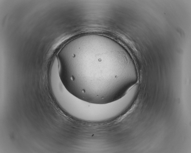 X0000111381453200908071225