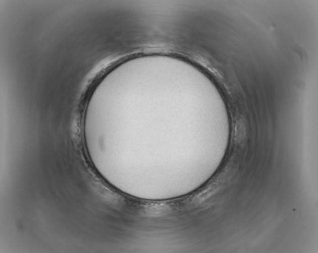 X0000111381454200908071225