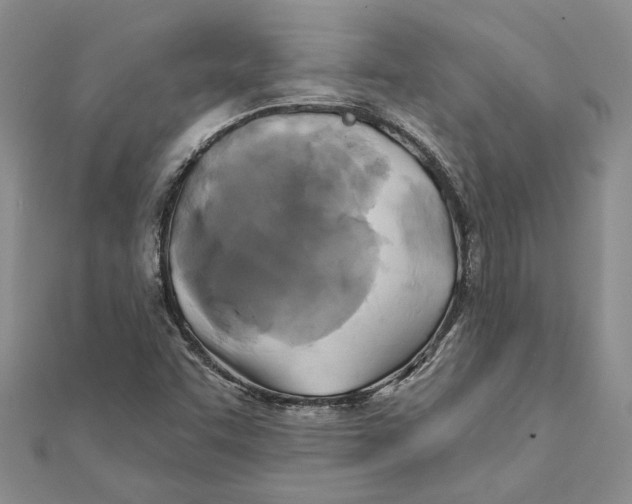 X0000111381455200908071225