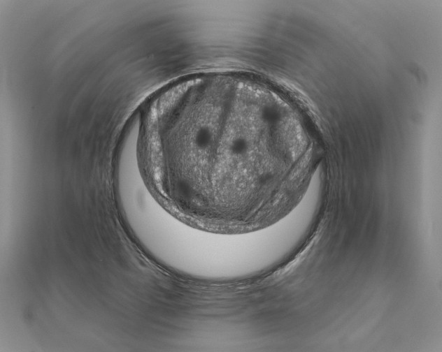 X0000111381457200908071225