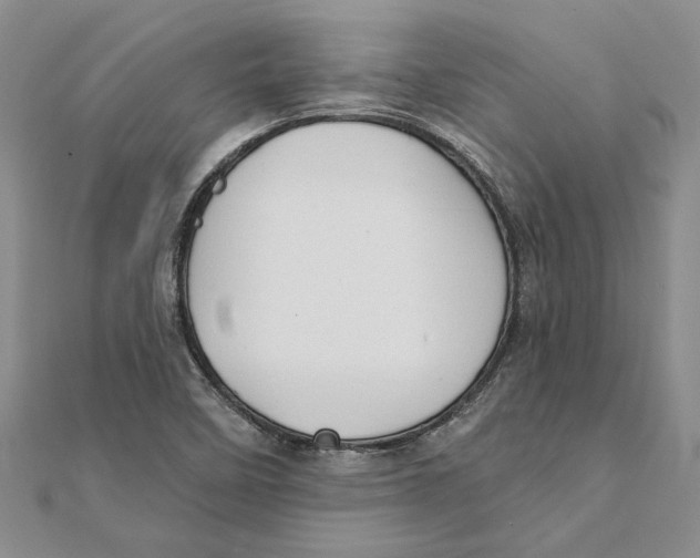 X0000111381458200908071225