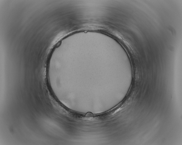 X0000111381459200908071225