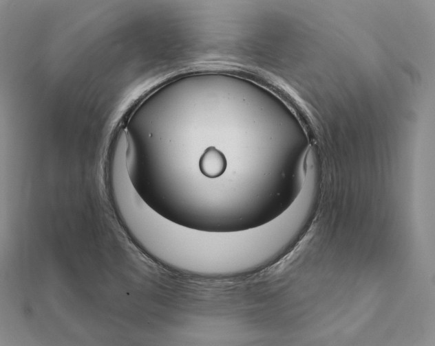 X0000111381461200908071225