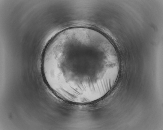 X0000111381463200908071225