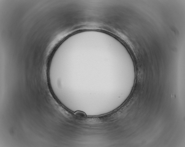 X0000111381464200908071225