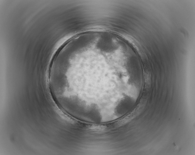 X0000111381466200908071225