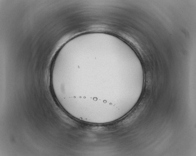 X0000111381467200908071225