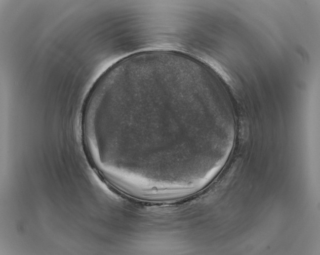 X0000111381468200908071225