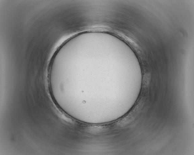 X0000111381470200908071225