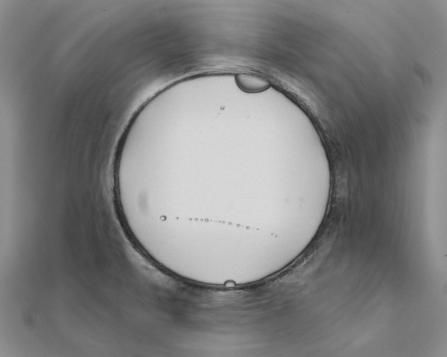 X0000111381471200908071225