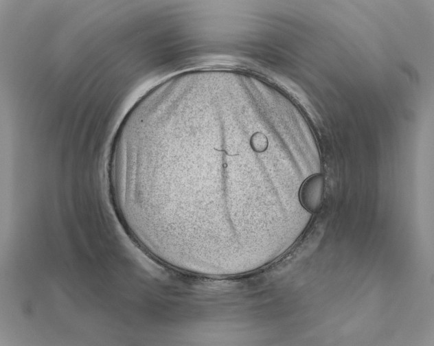 X0000111381475200908071225