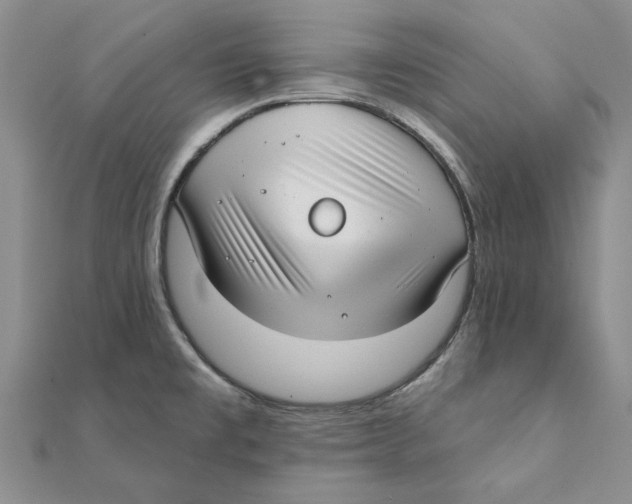 X0000111381477200908071225