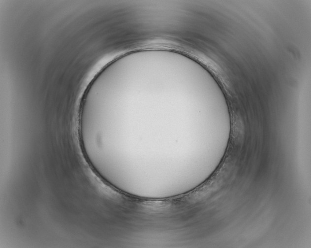 X0000111381478200908071225