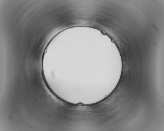 X0000111381479200908071225