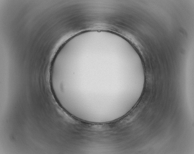 X0000111381480200908071225