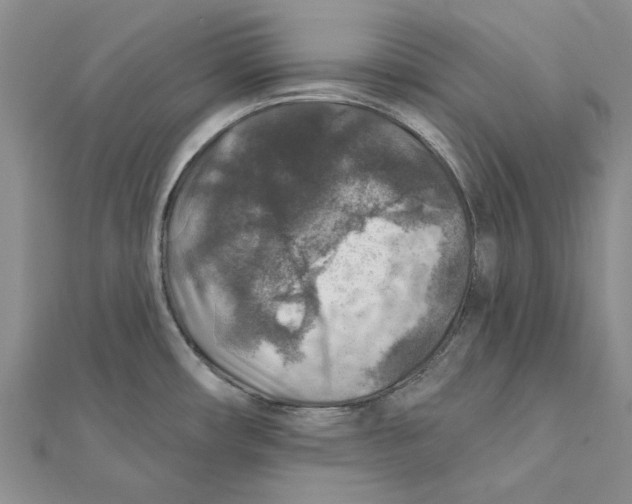 X0000111381482200908071224