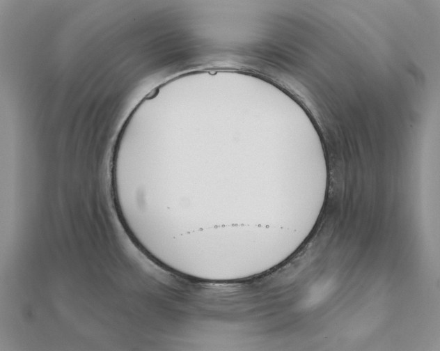 X0000111381483200908071224