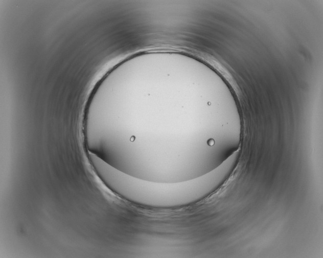 X0000111381485200908071224