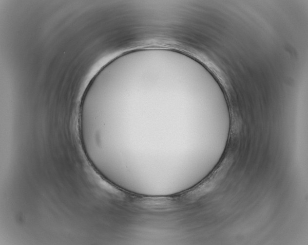 X0000111381486200908071224