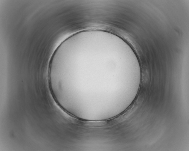 X0000111381487200908071224