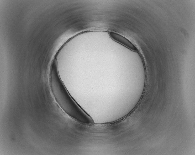 X0000111381488200908071224