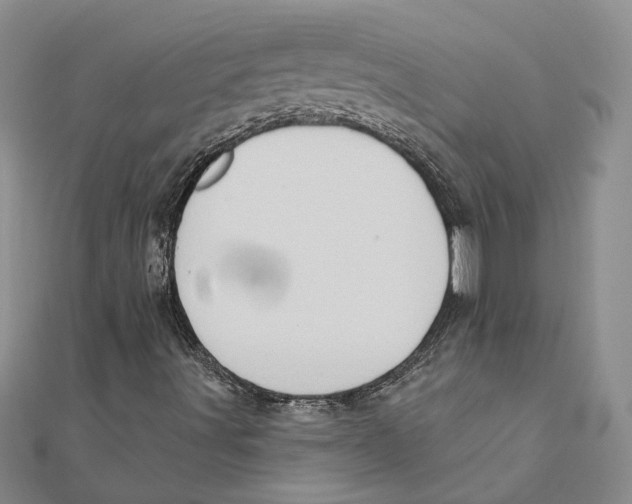 X0000111381491200908071224