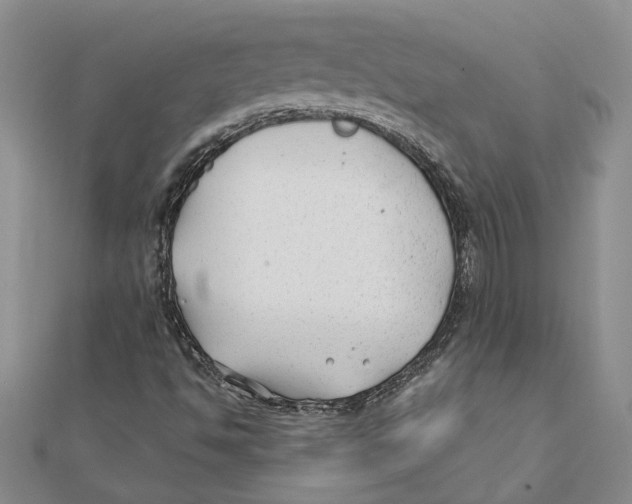 X0000111381494200908071224