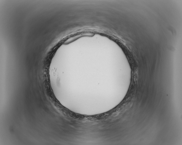 X0000111381496200908071224