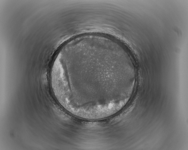 X0000111381497200908071224