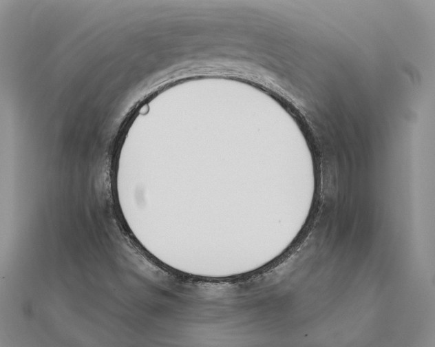 X0000111381498200908071224