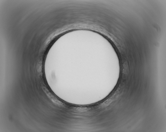 X0000111381499200908071224