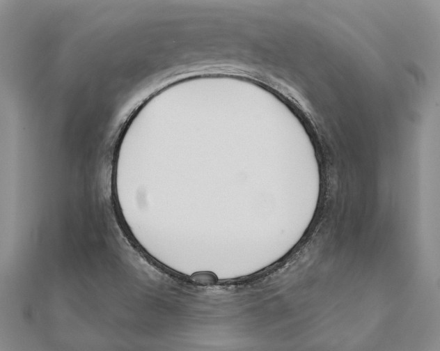 X0000111381504200908071224