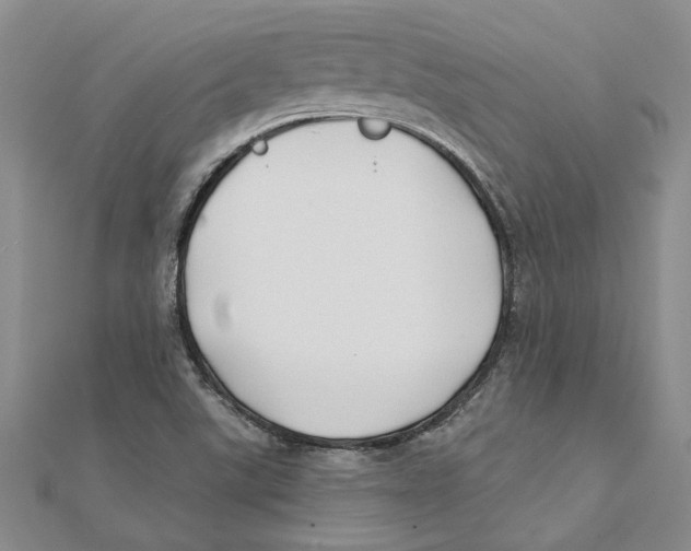 X0000111381507200908071224