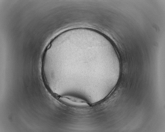 X0000111381508200908071224