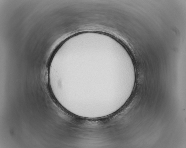 X0000111381509200908071224