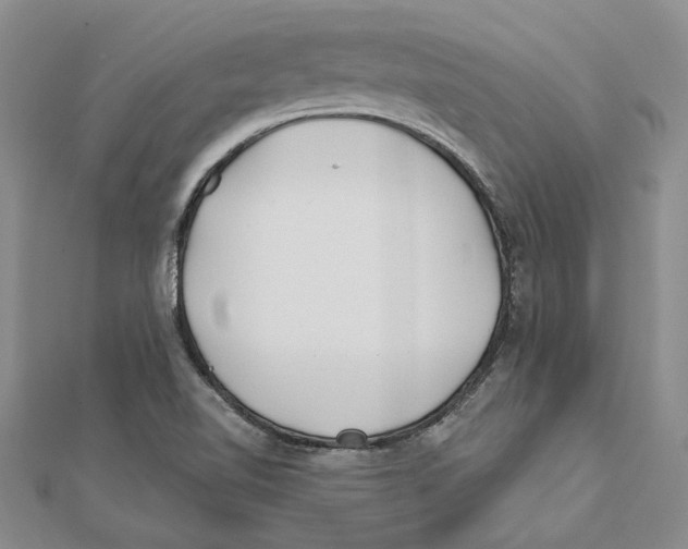 X0000111381510200908071224